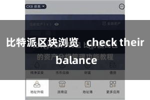 比特派区块浏览   check their balance