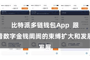 比特派多链钱包App  跟着数字金钱阛阓的束缚扩大和发展